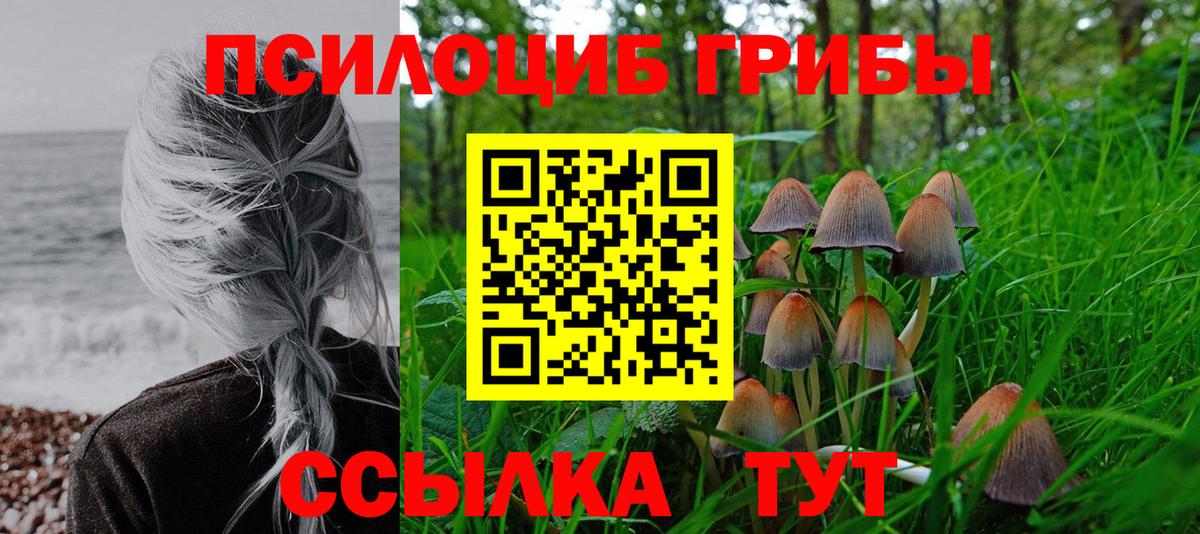 Можайск  Псилоцибиновые грибы GOLDEN TEACHER  Галлюциногенные грибы Psilocybine cubensis  Вход с VPN 