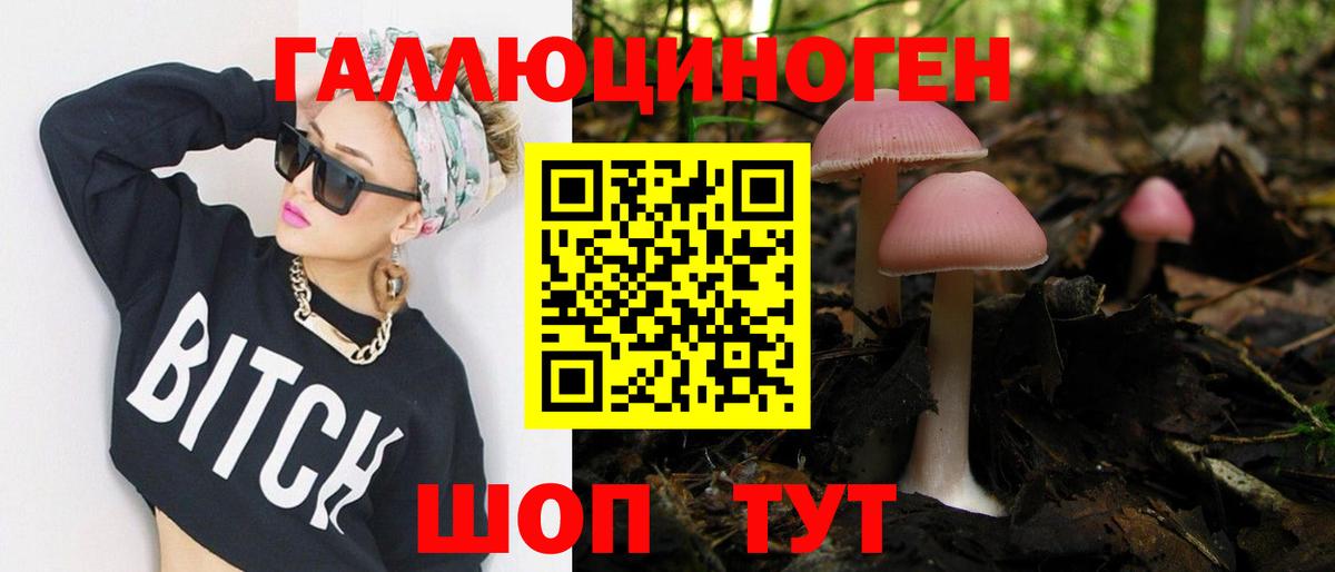 Псилоцибиновые грибы Cubensis Можайск